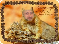 Greetings from Indiana 2012, Printed Postcard