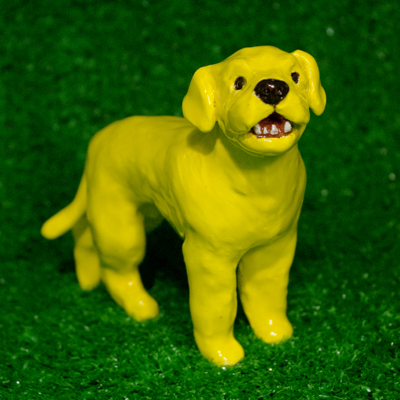 Dog, toby, Blonde, yellow lab, labrador, West Village, New York, Greenwich House Pottery